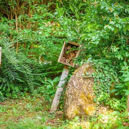 La Maisonnette-aix * Aix-les-Bains