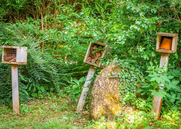 La Maisonnette-aix * エクスレバン